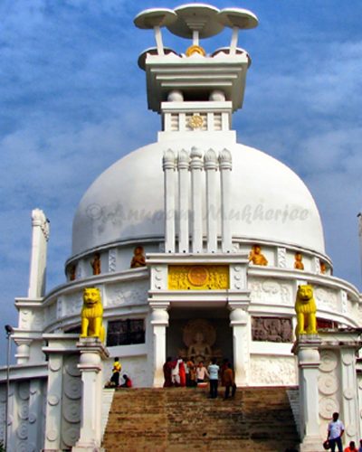 dhauli